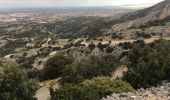 Excursión Carrera Cheval-Blanc - Luberon-19122019 - Photo 2