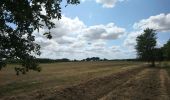 Percorso Marcia Le Louroux - Le Louroux - boucle 1 - 20.9km 100m 4h45 (35mn) - 2019 07 28 - Photo 5