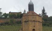 Percorso Marcia Bagnols - Bagnols (rando. village) 16 km - D. 383 m) du 28/04/2019 - Photo 1