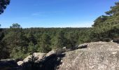 Trail Walking Fontainebleau - Fontainebleau, Gorges du Houx et Gorges de Franchard - Photo 14