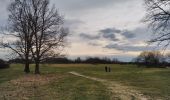 Trail Walking Maastricht - CANI-RANDO TOUR (boucle, montage saint pierre partie Hollande) - Photo 12