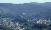 Tour Zu Fuß Schwarzburg - Naturlehrpfad Heinrich Cotta - Photo 6