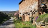 Trail Walking Saint-Christophe-Vallon - Le Puech du Cayla  - Photo 9