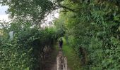 Trail Walking Hoeselt -  Sint-Huibrechts-Hern - Photo 18