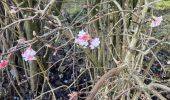 Randonnée Marche La Roche-en-Ardenne - Vecmont - Photo 1