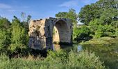 Randonnée Marche Villetelle - Oppidum Ambrussum - Photo 2