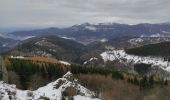 Tour Wandern Geishausen - Geishouse abri Faucon de Grecerelle - Photo 1