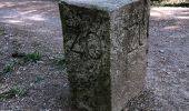 Trail On foot Zurich - Witikon - Maur Schiffstation - Photo 8