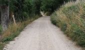 Trail Walking Le Malzieu-Ville - LE MALZIEU - APCHER  - Photo 19