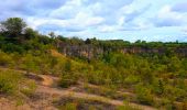 Tocht Stappen Saints-Geosmes - Boucle 18 km incluant Cohons et la source de la Marne - Photo 1