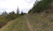 Tour Wandern Villeneuve-de-Berg - la forêt des sens Villeneuve de Berg  - Photo 19