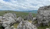 Tour Wandern Fraissinet-de-Fourques - Parc National Nimes-le-Vieux - Photo 1