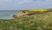 Trail Walking Audresselles - Cran le Noirda - Photo 11
