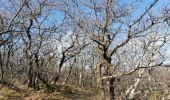 Trail Walking Puy-Saint-Martin - Puy st Martin les Ours 8km - Photo 3