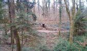 Tour Wandern Besançon - Forêt de CHAILLUZ - Photo 1