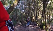 Percorso Mountainbike Pietrosella - Cupabia - Photo 7