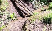 Tocht Stappen Trooz - Trooz ( Balade des Pery et ses hameaux au départ de la gare) - Photo 11