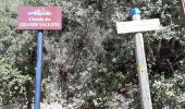 Trail Walking Saint-Marc-Jaumegarde - Le tour du barrage : vérifications - Photo 1