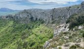 Tour Wandern Plan-d'Aups-Sainte-Baume - Sté beau me - Photo 7