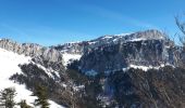 Trail Walking Saint-Christophe-sur-Guiers - La Ruchere - Col de l'Allienard - Photo 4