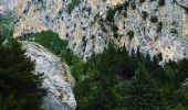 Trail On foot Taranta Peligna - S.P. 84 - Grotta Canosa - Photo 4