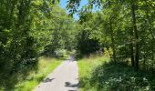 Trail Walking Vieux-Moulin - en foret de Compiègne_38_07_2021_sur la Route Eugénie - Photo 12