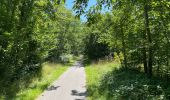 Tour Wandern Vieux-Moulin - en foret de Compiègne_38_07_2021_sur la Route Eugénie - Photo 12