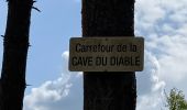 Percorso Marcia Ormoy-le-Davien - 040522 - Boucle Ormoy le Davien - Moulin de Wallu... - Photo 17