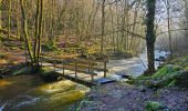 Randonnée Marche Gedinne - Balade à Patignies - Gedinne - Photo 16