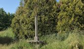 Tour Zu Fuß Saint-Jean-Bonnefonds - Ligne de Partage des Eaux - Photo 2