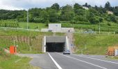 Tour Zu Fuß Schriesheim - Rundwanderweg Schriesheim 5: Branichweg - Photo 10