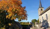 Tocht Stappen Gesves - Mozet - Château d'Arville - Photo 2