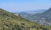 Trail Walking Évenos - Toulon Col du corps de garde Mont Caume - Photo 6