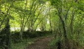 Tocht Stappen Goumois - Circuit du barrage de la Goule - Photo 2