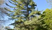 Tour Wandern Welkenrath - suuntoapp-Walking-2026-04-25T08-06-02Z - Photo 18