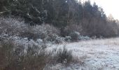 Trail Walking Theux - autour du bois de la porallée - Photo 6