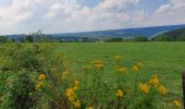 Trail On foot Esneux - promenade en campagne de Fontin (Esneux) - Photo 1