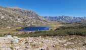 Tocht Stappen Albertacce - lac de nino par la fontaine Caroline  - Photo 3