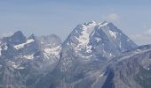 Tocht Stappen Pralognan-la-Vanoise - Pralognan - le petit mont Blanc a - Photo 15