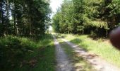 Trail Walking Theux - autour de Jehoster  - Photo 1