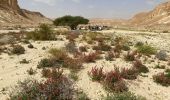 Trail On foot Central Arava Regional Council - IL-17432 - Photo 3