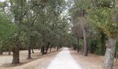 Randonnée Marche Le Boulou - Le boulou - Saint Jean pla de corts via le lac  - Photo 1