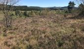 Excursión Senderismo Saint-Merd-les-Oussines - Correze Mille Vache Longeyroux - Photo 8