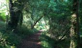 Trail Walking Piencourt - Piencourt - Photo 9