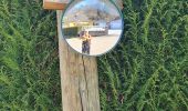 Trail Walking Soultzmatt - Rando Marcheurs ..20/03/2025.. - Photo 2