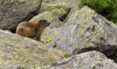 Tocht Te voet Stilfs - Stelvio - IT-5 - Photo 4