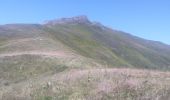Randonnée Trail Laveissière - Puy de Peyre Arse/ Puy Bataillouse / Téton de Vénus et Rocher du bec de l'aigle  - Photo 4