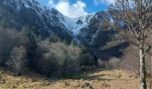 Tour Wandern Stoßweier - Saegmatt Cascade de Stolz Ablass Frankenthal - Photo 4