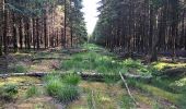 Percorso Marcia Spa - aérodrome. bois des vieilles fagnes . malchamps . retour le long de la fagne  - Photo 18