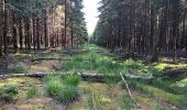 Excursión Senderismo Spa - aérodrome. bois des vieilles fagnes . malchamps . retour le long de la fagne  - Photo 18